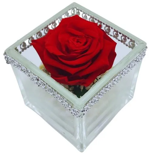 ¡Oferta! rosa natural eterna roja cristal